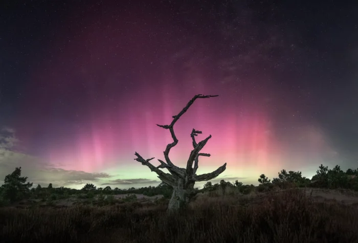 noorderlicht 10 oktober 4 3